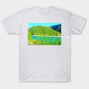 View at spiky vegetation partly hiding Lago di Fiastra T-Shirt